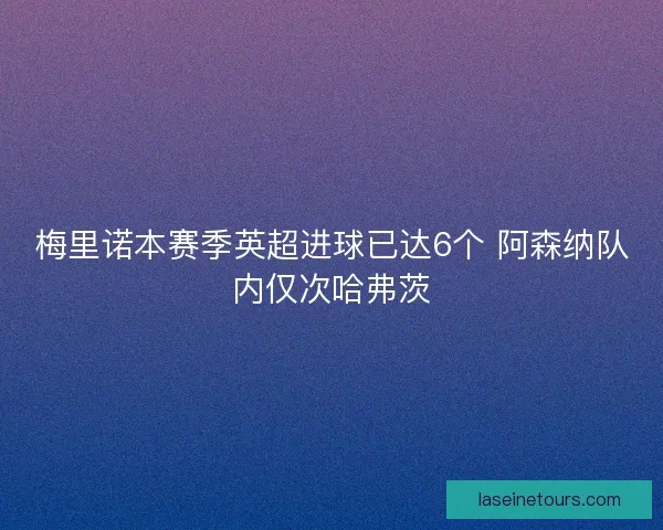 梅里诺本赛季英超进球已达6个 阿森纳队内仅次哈弗茨
