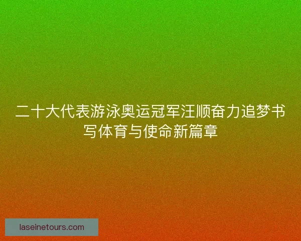 二十大代表游泳奥运冠军汪顺奋力追梦书写体育与使命新篇章