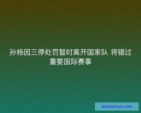孙杨因三停处罚暂时离开国家队 将错过重要国际赛事