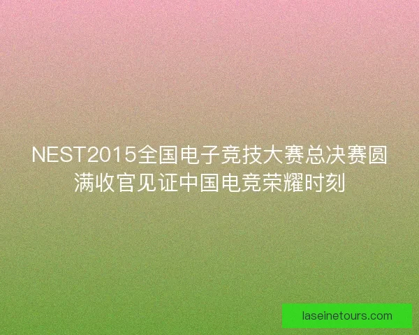 NEST2015全国电子竞技大赛总决赛圆满收官见证中国电竞荣耀时刻